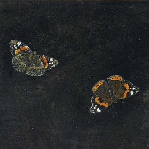 Acid Pauli-Eulogy For Eunice Vs.Nicolas Jaar -To Many Kids Finding Rain In Dusk(Tolga Maktay MashUP)