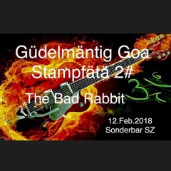 DJ The Bad Rabbit : Güdelmäntig Goa Stampfätä Nr2