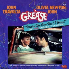 YOU'R THE ONE THAT I WANT (MR DRE GREASE IT UP REMIX)