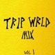 on Trip World : The Members (Mixed by Mursa)