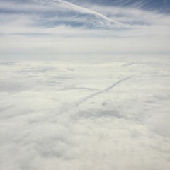 ...Vinyl only ... 13.02.2018