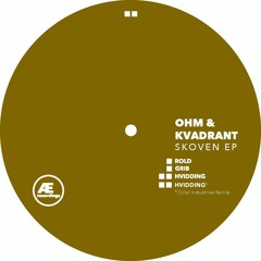 B2 - Ohm & Kvadrant - Hvidding (Octal Industries Remix)