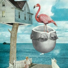 Bermuda (w/ Sleepdealer)