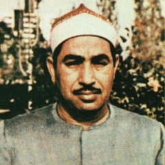 الشيخ /محمد محمود الطبلاوى .