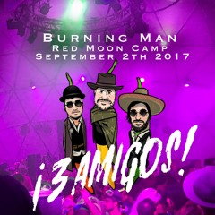 3 Amigos (Guy Laliberté B2B Bedouin) @ RedMoon Camp_BurningMan_September 2th 2017