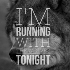 Running With The Wolves (Aurora Cover)