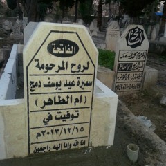 الشيخ ممدوح عامر