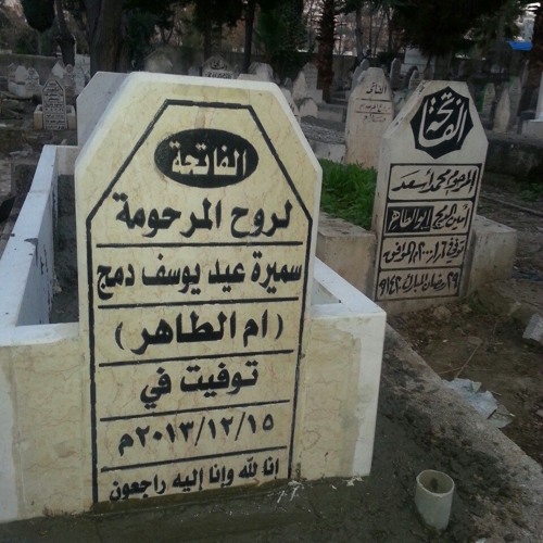 الشيخ ممدوح عامر