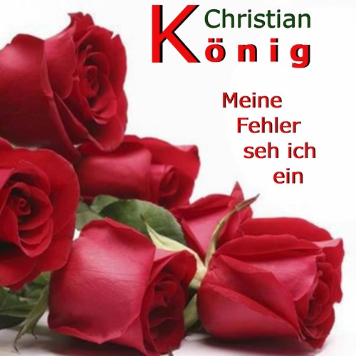 christian-konig-meine-fehler-seh-ich-ein-horprobe