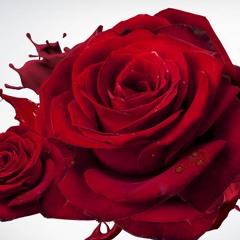 "Love Story" by Michael Ortega