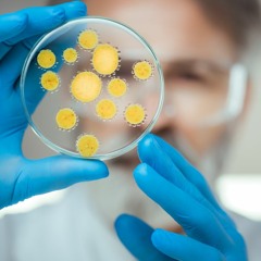 Medical Progress and Private Money