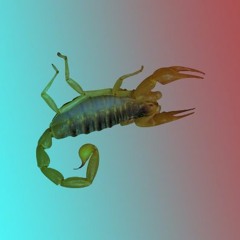 coeur-poignée-de-main-oeil-scorpion