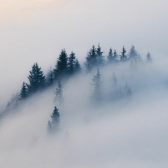 Gusta Mi Magla Padnala