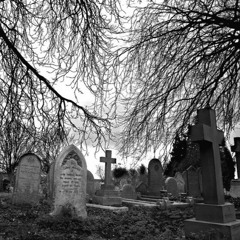 Last Will And Testament