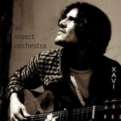 14 All Insect Orchestra