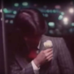 Waterfront Dining & 猫 シ Corp. - Our Night