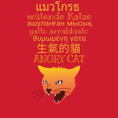 Angry Cat