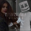 Marshmello & Selena Gomez - Wolves (Zalenn Remix)