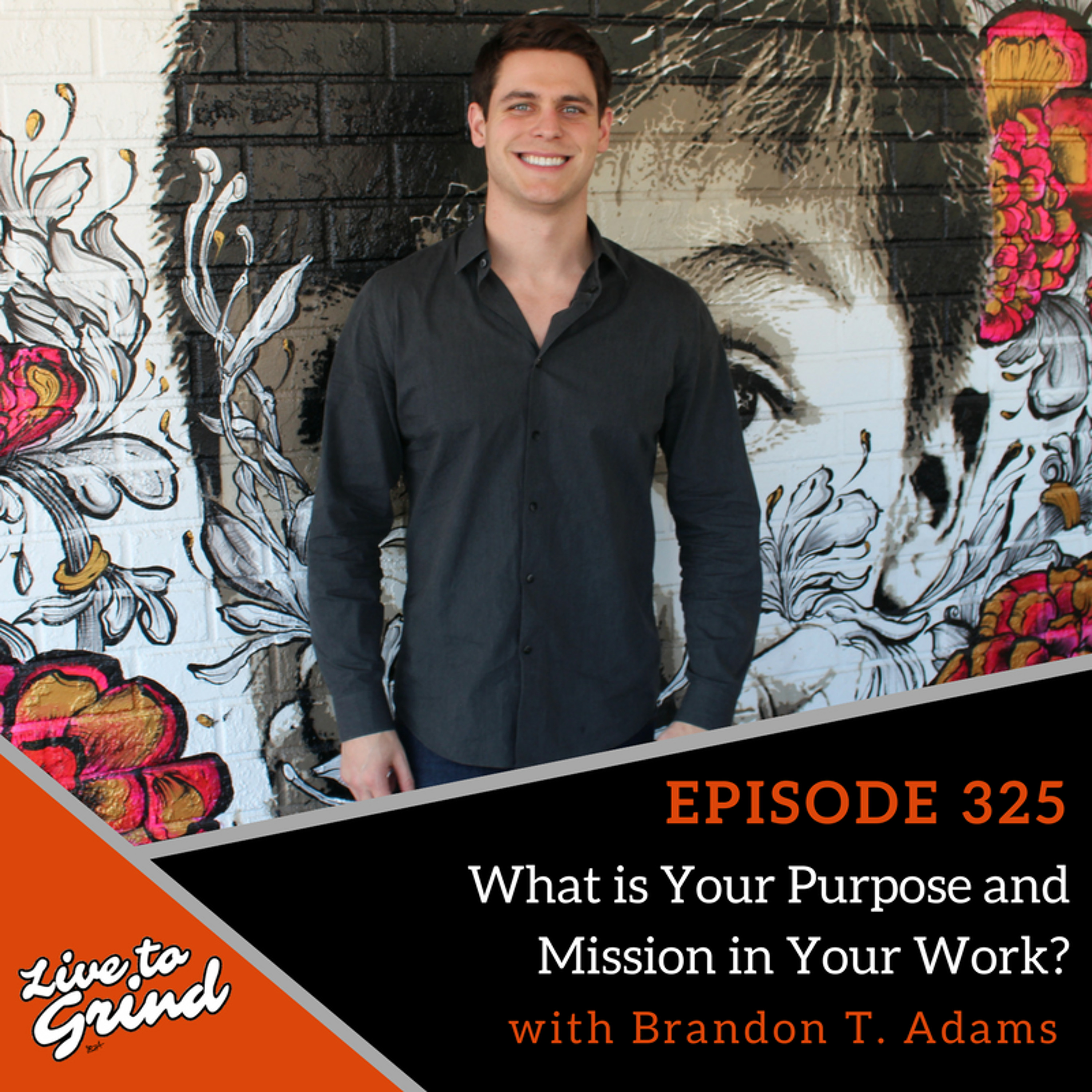 EP 325 What is Your Purpose and Mission in Your Work with Brandon T. Adams episode artwork