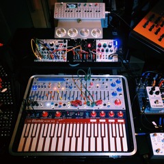 Monome Arc + Rings + Plonk + Buchla Music Easel + OP-1