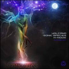 Sonic Species vs Volcano vs X-NoiZe - Future DMT (Preview)