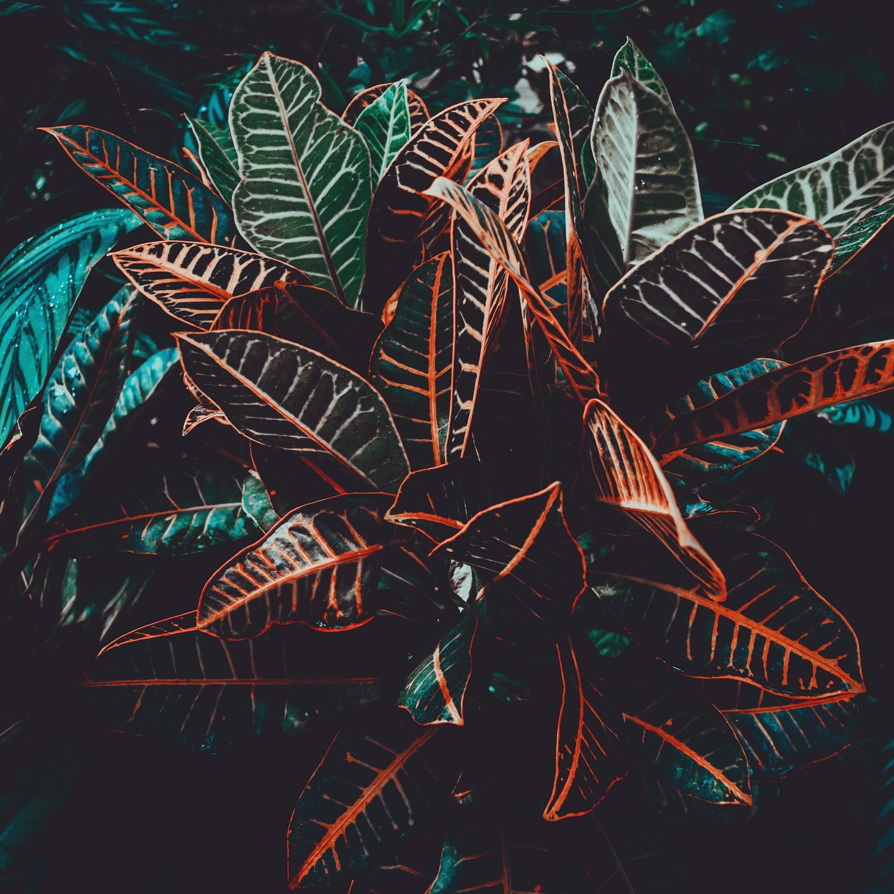 AkilisMusic - Shadows Dancehall Beat episode artwork
