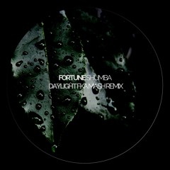Fortune Shumba - Daylight (Fka Mash Remix)