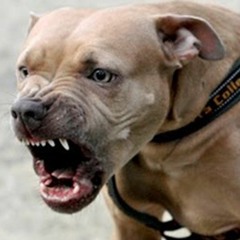 Takenotes- Talk Tuff