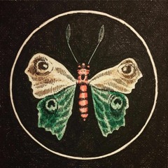 The Sound Of A Waning Sun