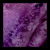 Artwork for Venin Rite (Original Mix)