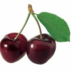 Sandra Collins and Micke-Zero Logic- TOIL remix--Preview