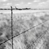 Don T Fence Me In Mp3