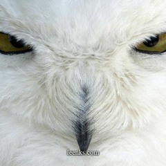 Can You Close Your Mind