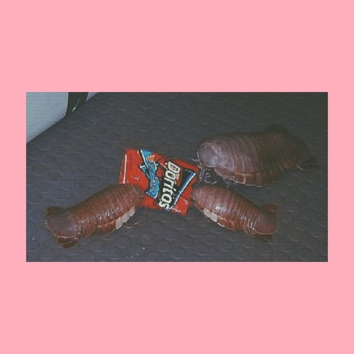 feed you doritos (instrumental)