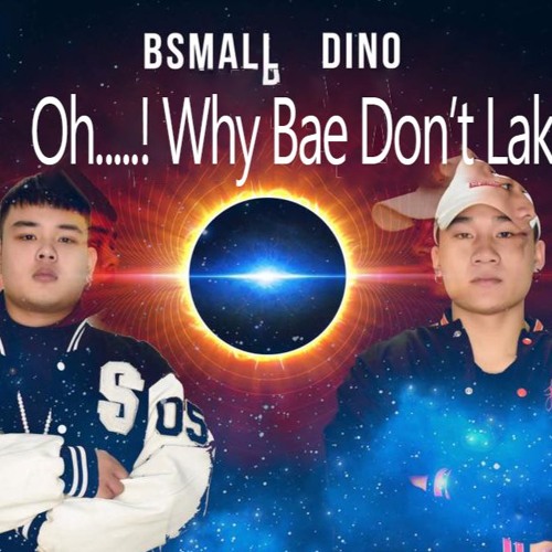 Why Bae Don't LAK - Bsmall & DJ Dino ( Year Mix 2018 )