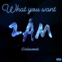2AM, FMB Santo, Yzthasinger - What You Want