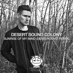 PREMIERE: Desert Sound Colony - Sunrise Of My Mind (Denis Horvat Remix) [Fayer]