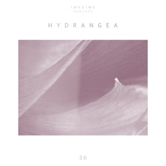 INVEINS \ Podcast 036 \ Hydrangea