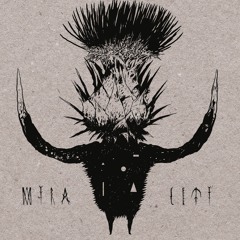 Mira Ceti - Ani Kouni