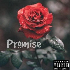 Promise