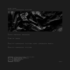B1 Nima Khak - Reality Surpasses Fiction (Cari Lekebusch RMX)