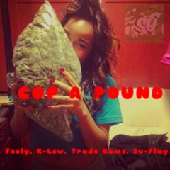 (COP A POUND) Ft. Fooly, K-Low,Trade Bams, Su-Flay prod. TheBeatPlug