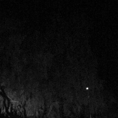 watch them fade, bitter.