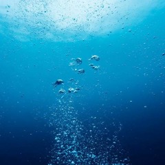 Drown - Seafret ( cover )