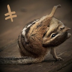 H E A V Y / R A I N / 0 1