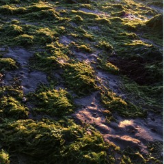 Yo He Visto Ovnis_Lares