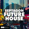 Septagon Future House 500 Drums Melodies Presets Videos Bonus Kits Mp3