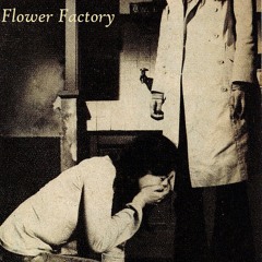 Flower Factory - Monday
