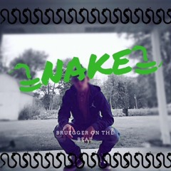 Snakes (prod by Beatz Era) *rough draft*
