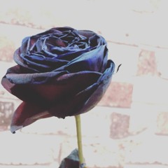 ยอมตั้งแต่หน้าประตู